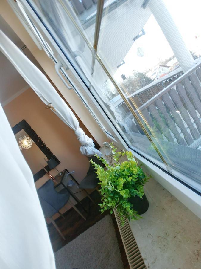 Wohlfuehlzeit Im Zittauer Gebirge Apartamento Exterior foto
